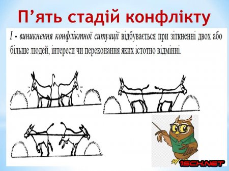 ������� ������� �����������-����������� �����, ����� ������� �� ���������  2024